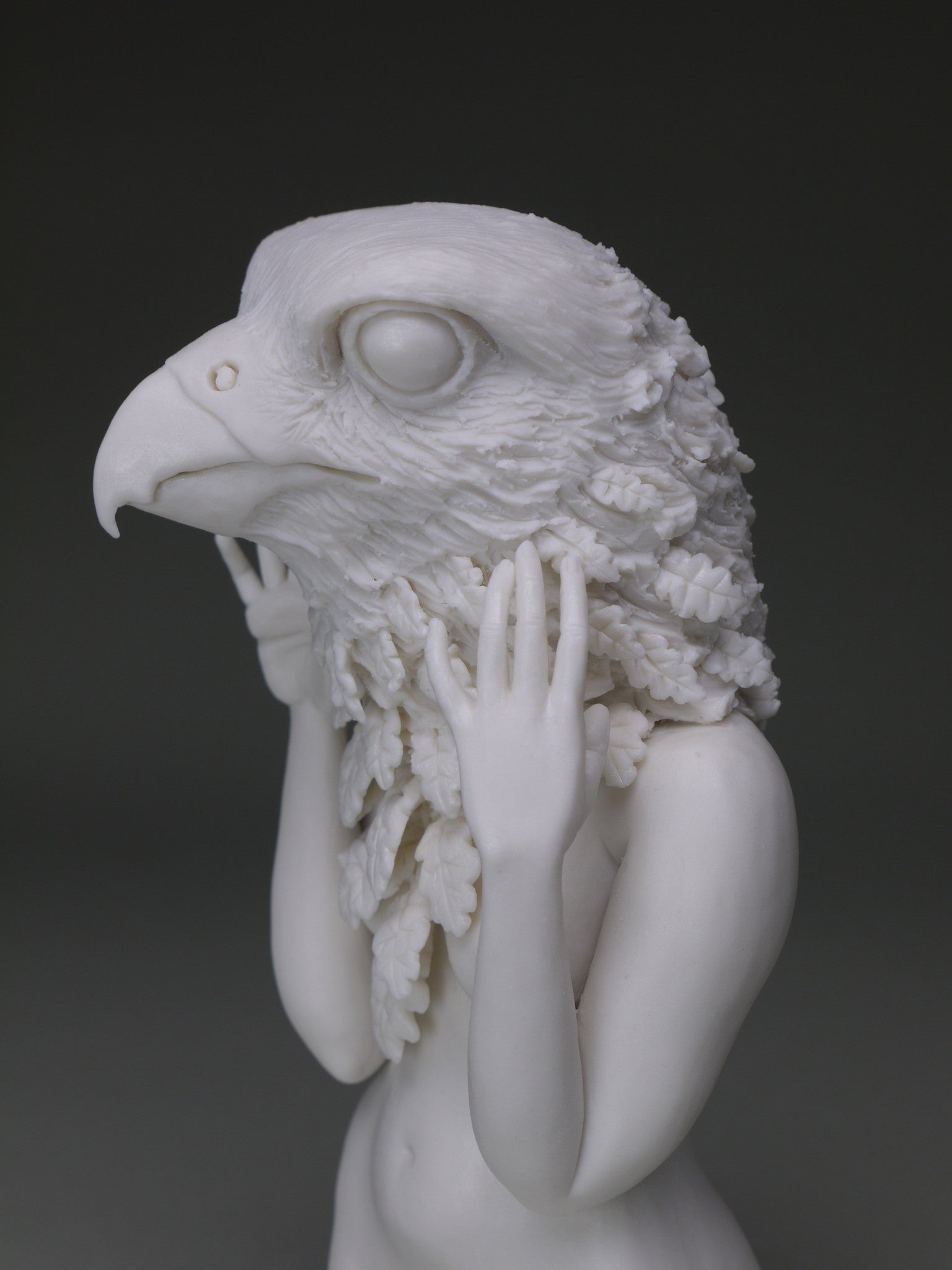 Delicate Dependency: Peregrine Falcon with White Oak