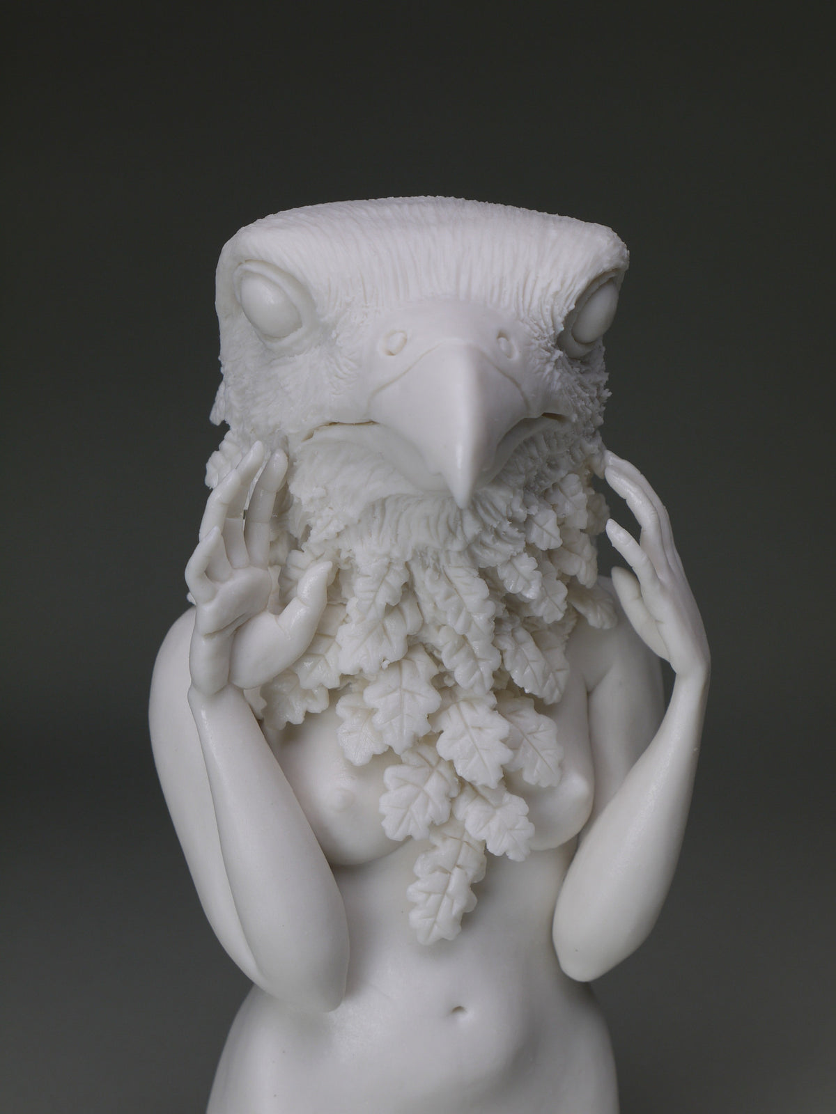 Delicate Dependency: Peregrine Falcon with White Oak