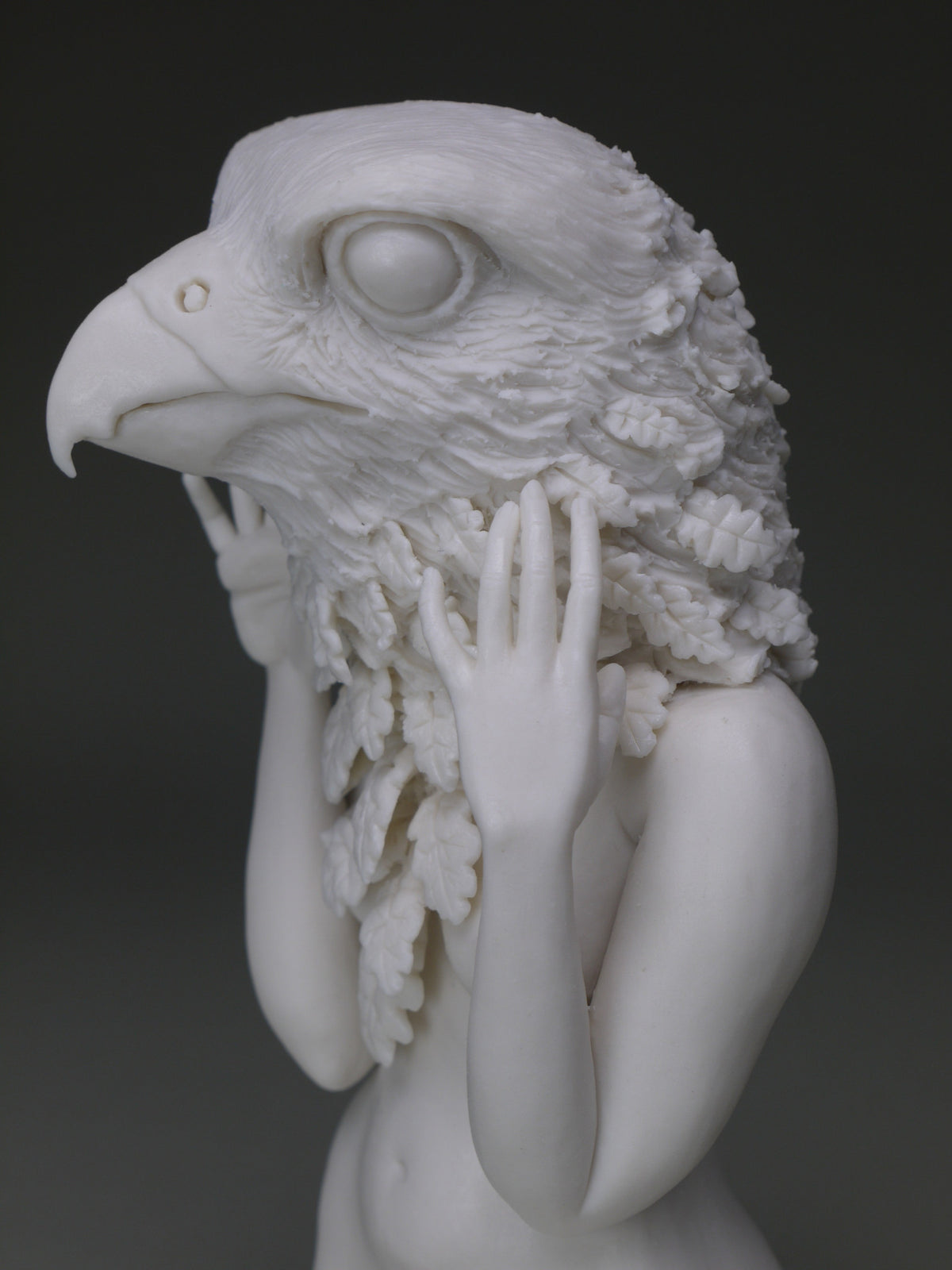 Delicate Dependency: Peregrine Falcon with White Oak