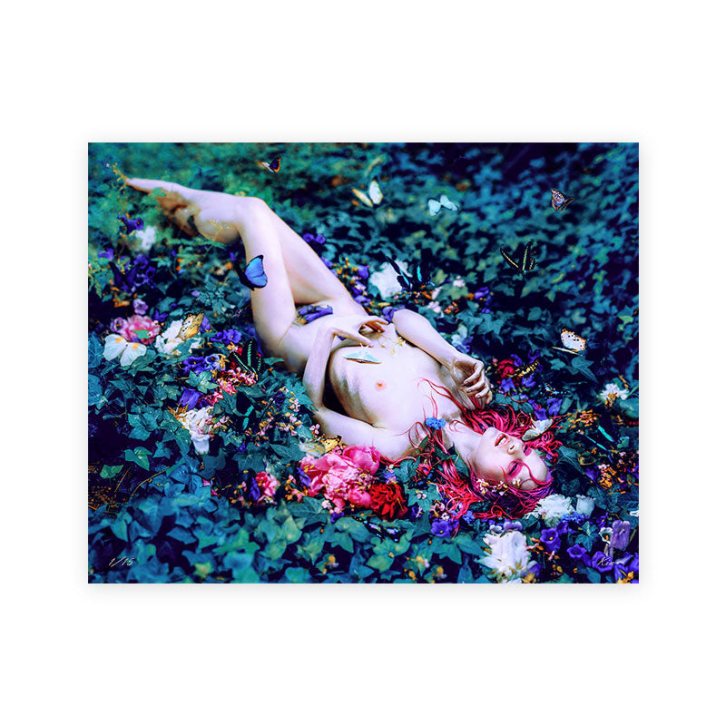 Chrysalis Fine Art Print