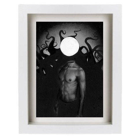 The Intrepid Traveller of the Immaginaine