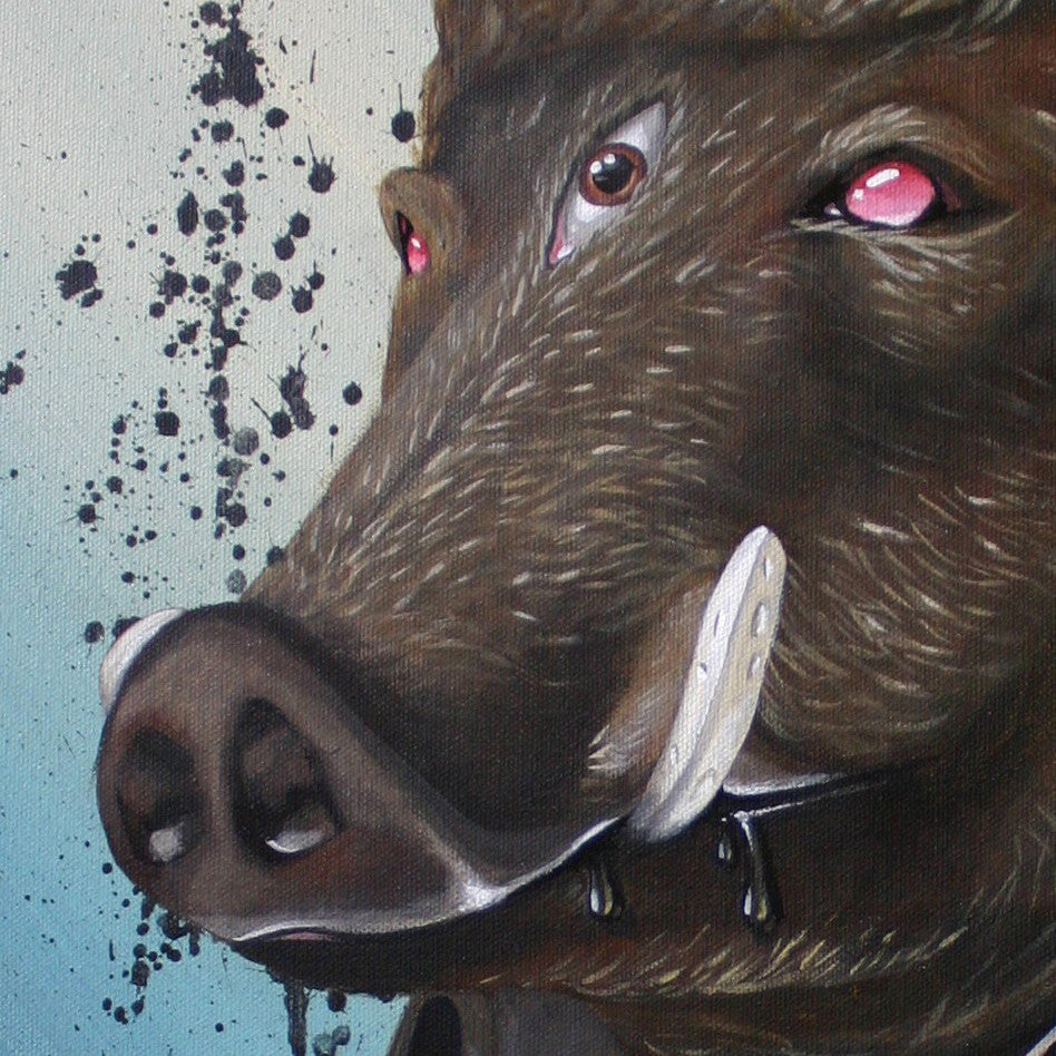 Some Animals are More Equal Than Others