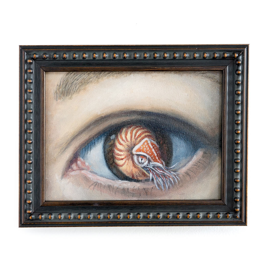 Nautilus Eye
