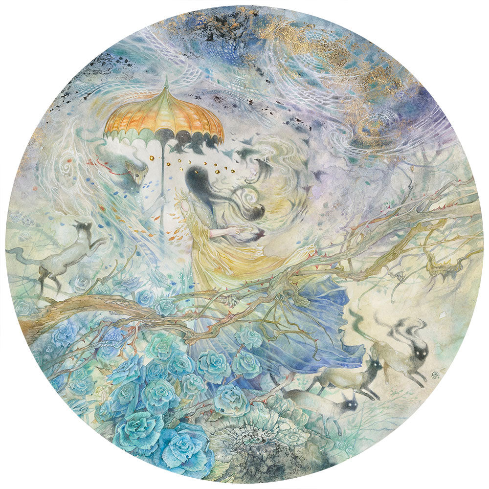 Playing with Shadows