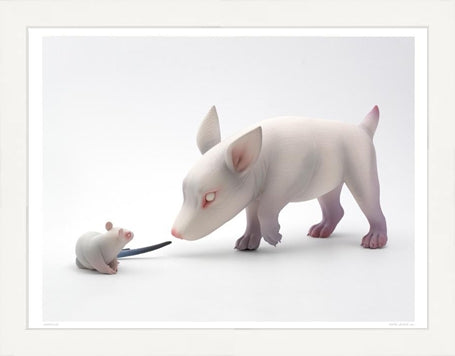 Curiosity Fine Art Print