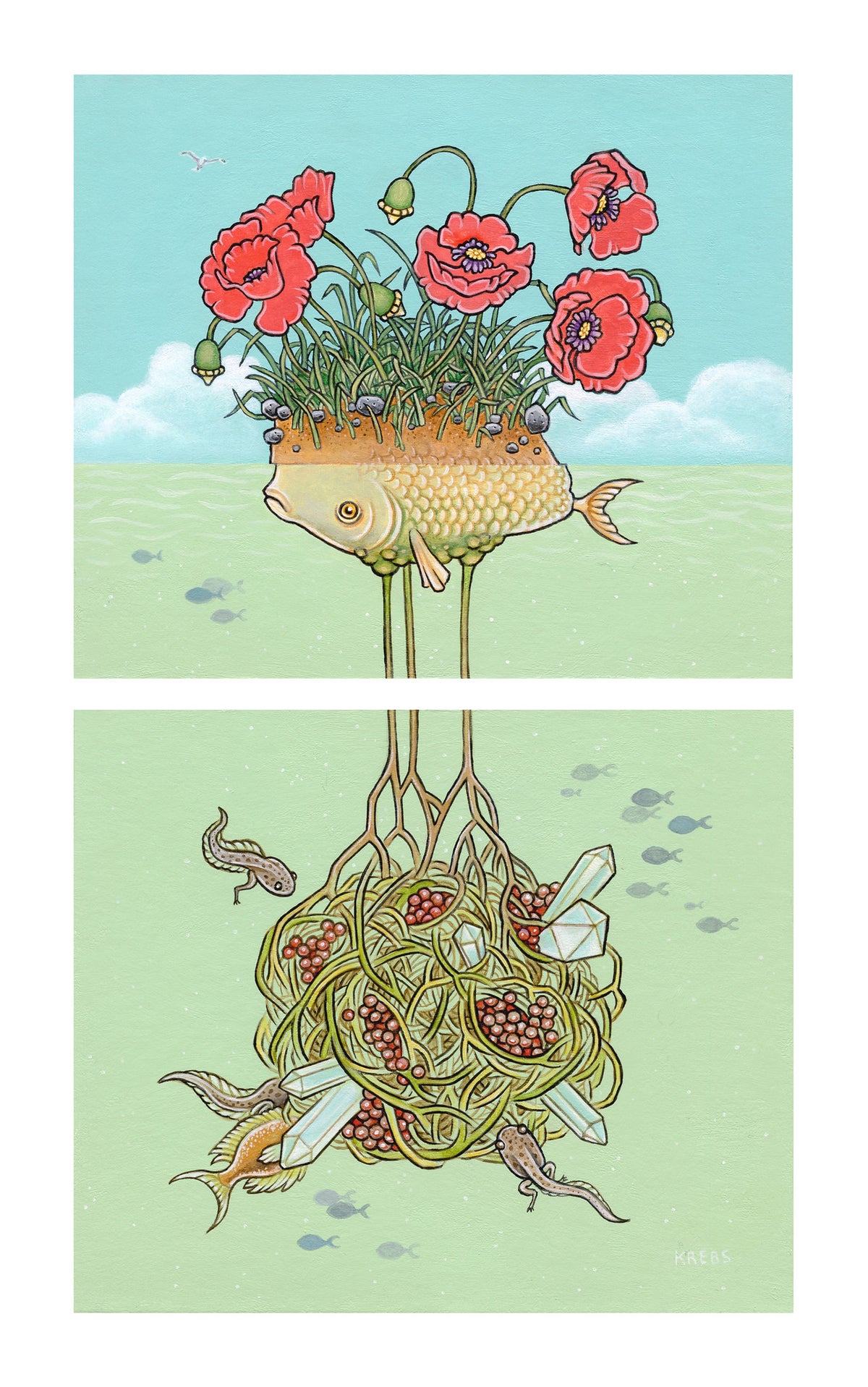 The Elusive Flora Fish