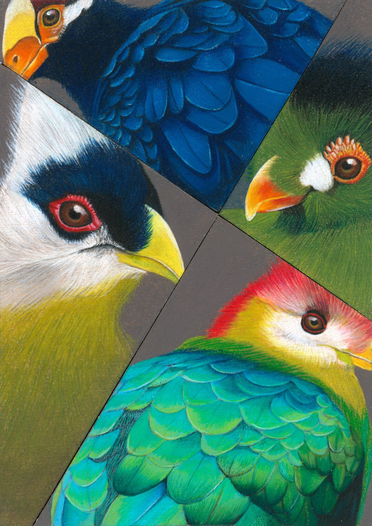 I Want Tu Go Tu There (The Turaco Remix)