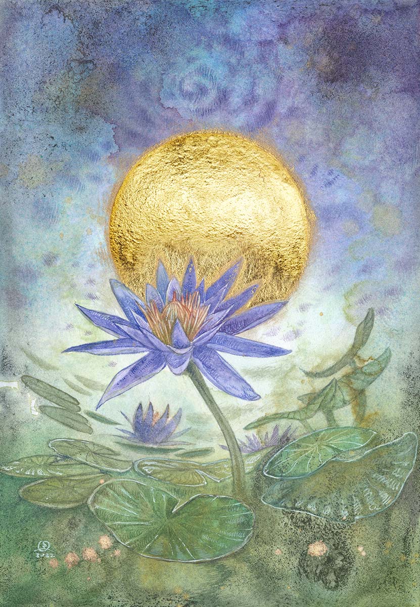 Sacred Blue Lily of the Nile