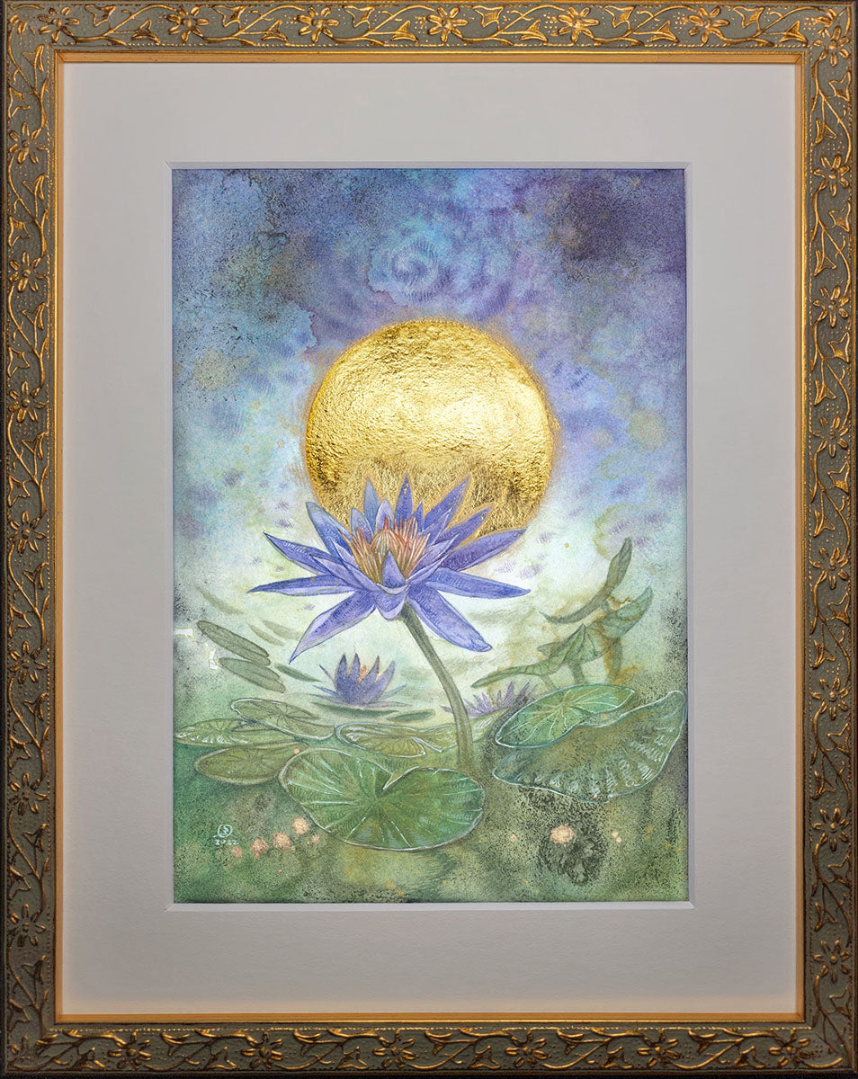 Sacred Blue Lily of the Nile