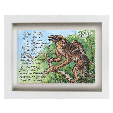 Jamata-Toucanet Monkey