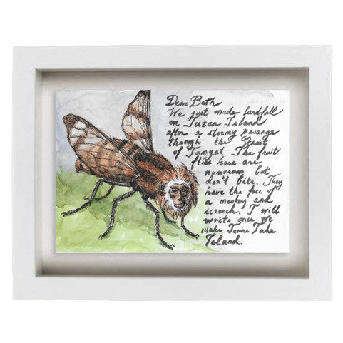 Tuzan Island-Tamaran Fruit Fly